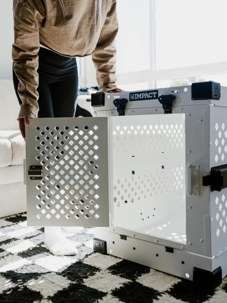 modern pet furniture