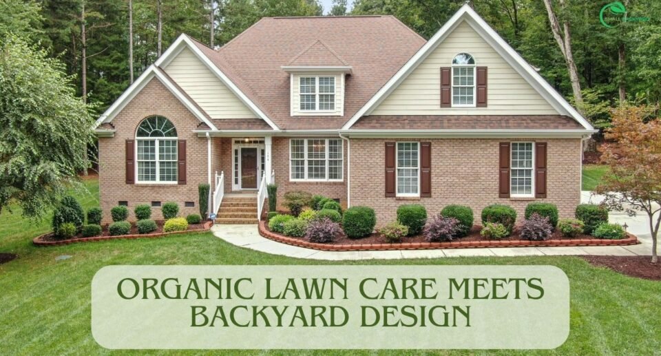 Organic Lawn Care Meets Backyard Design