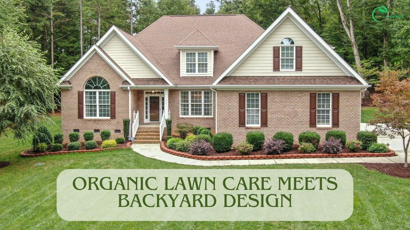Organic Lawn Care Meets Backyard Design