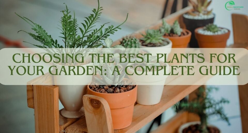 Choosing the Best Plants for Your Garden: A Complete Guide