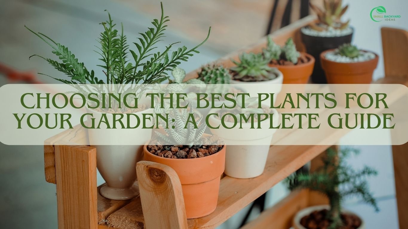 Choosing the Best Plants for Your Garden: A Complete Guide
