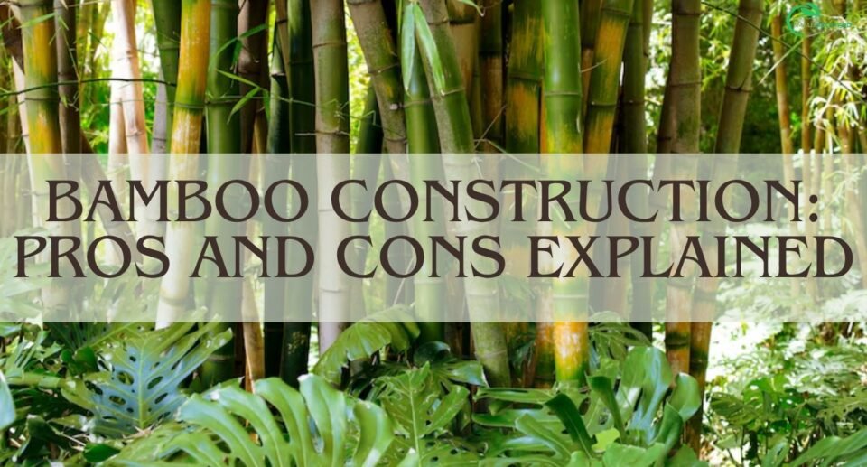 Bamboo Construction: Pros and Cons Explained